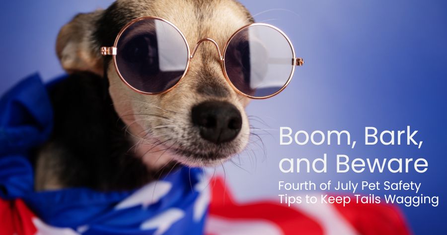 Boom, Bark, and Beware