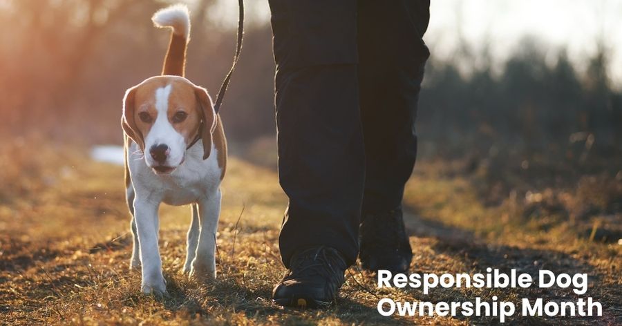 Responsible Dog Ownership Month